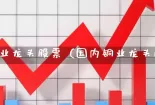 中国铜业龙头股票（国内铜业龙头股票）